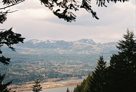 [Looking through the evergreens from the top of this shore to the opposite side of the Columbia River. The mountains are snow-capped and in the far distance with a lower valley filled with evergreesn beside the river.]